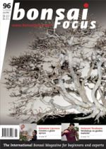 Bonsai-Focus 100 Nov/Dez 2019