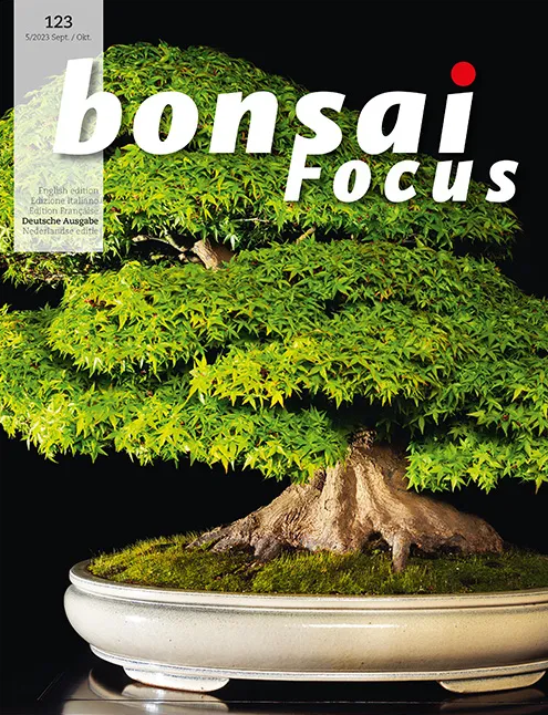 Bonsai-Focus 123 Sept/Okt 2023