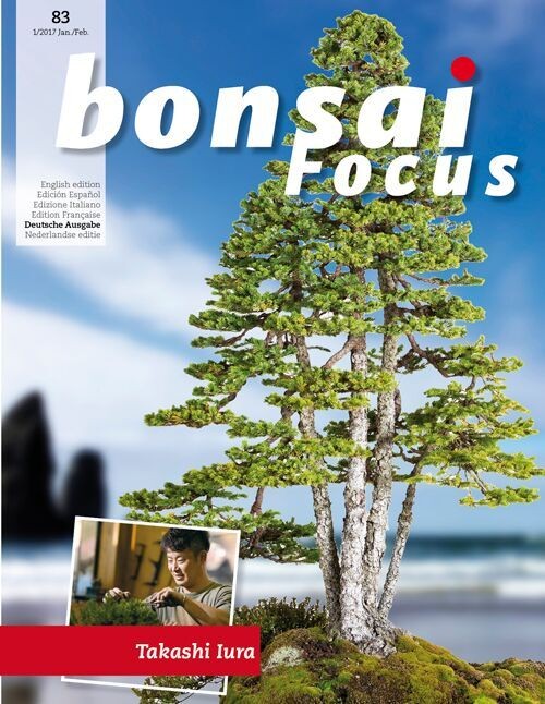 Bonsai-Focus 100 Nov/Dez 2019