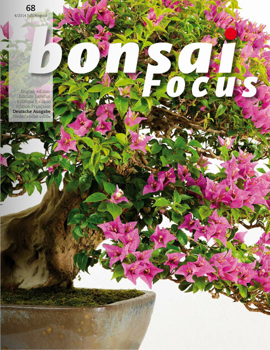 Bonsai-Focus 100 Nov/Dez 2019