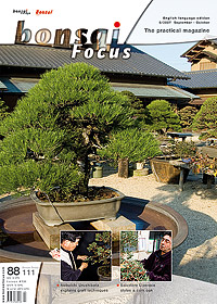 Bonsai-Focus 100 Nov/Dez 2019