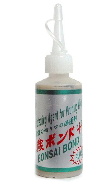 Zum sicheren Verschluss von Schnittstellen, um diese effektiv vor Krankheiten zu schützen.

Japanisches Produkt, direkt gebrauchsfertig.

Inhalt: 50 g