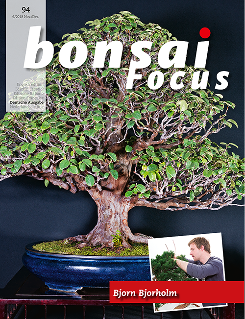 Bonsai-Focus 94 November/Dezember 2018