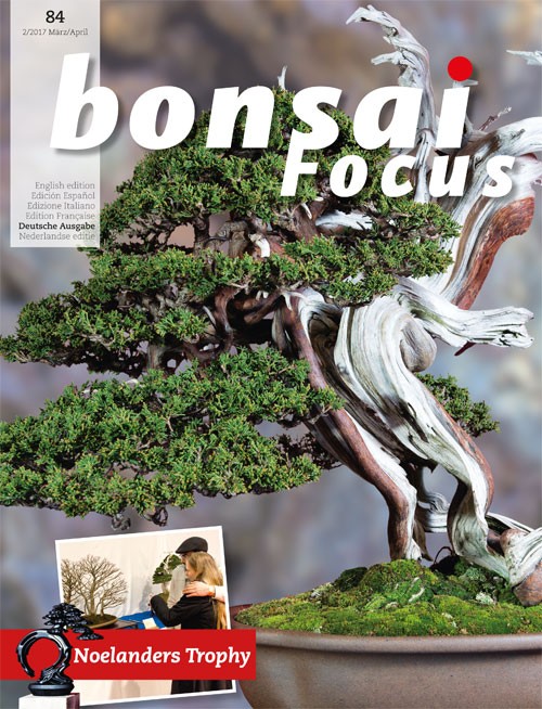 Bonsai-Focus 84 März/April 2017