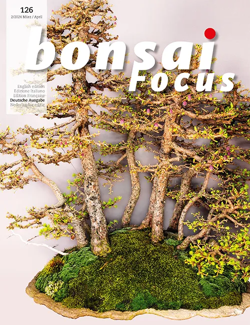 Bonsai-Focus 126 - Mrz/April 2024