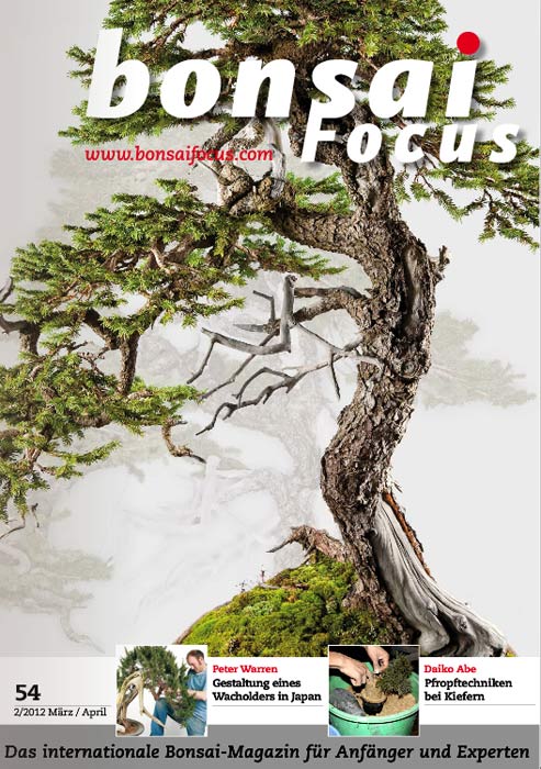 Bonsai-Focus 100 Nov/Dez 2019