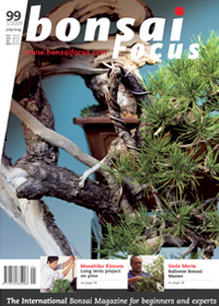 Bonsai-Focus 100 Nov/Dez 2019