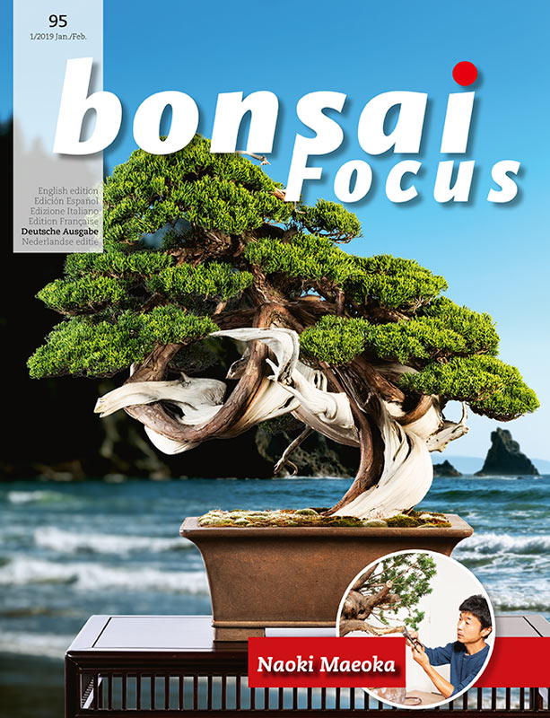 Bonsai-Focus 95 Januar/Februar 2019
