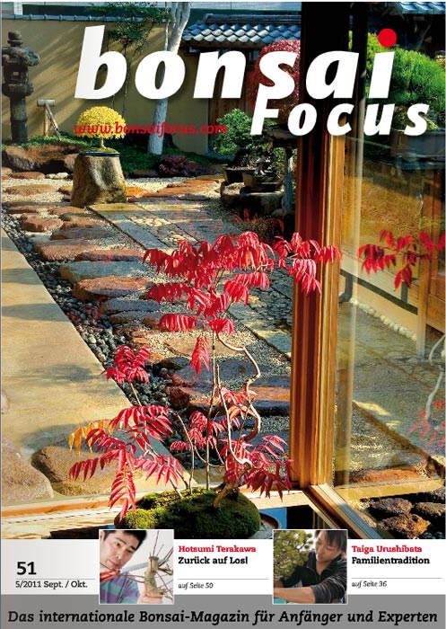 Bonsai-Focus 100 Nov/Dez 2019