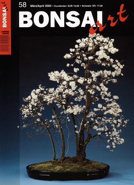 BONSAI ART 58 M