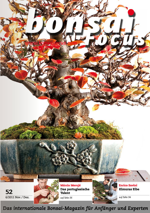 Bonsai-Focus 100 Nov/Dez 2019