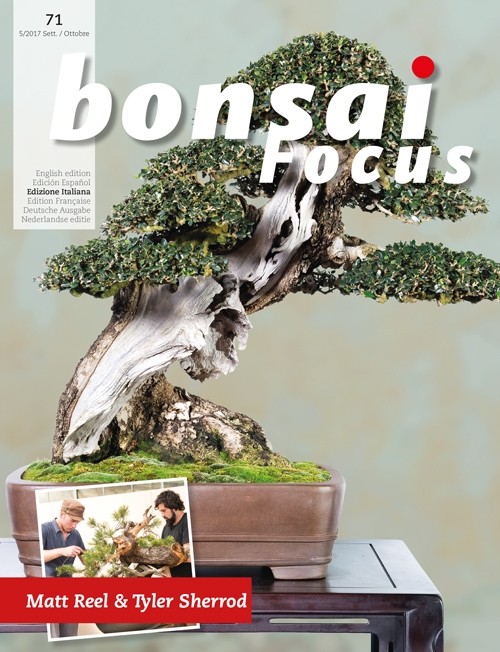 Bonsai-Focus 71 Sett./Ott. 2017