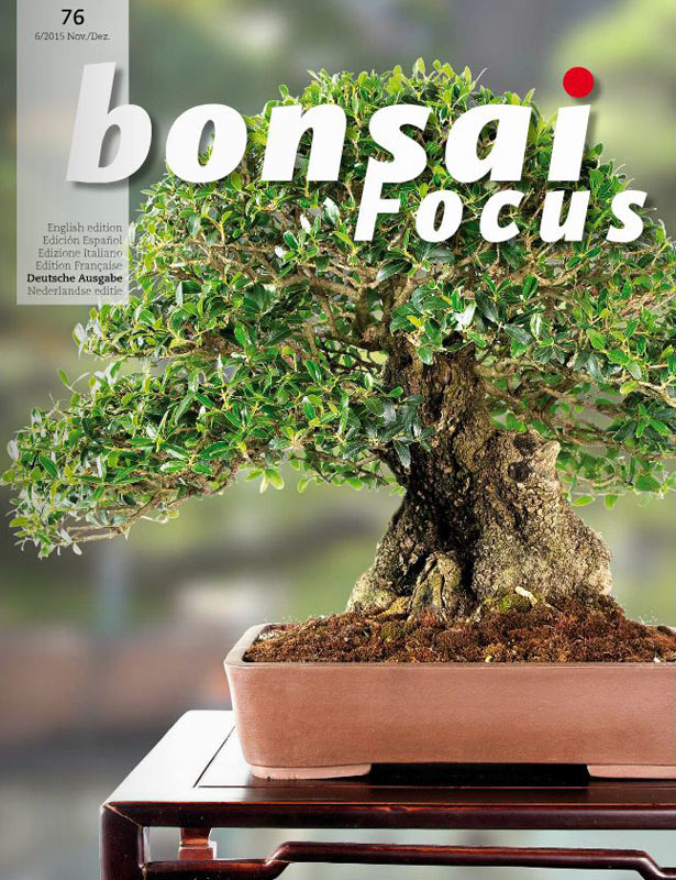 Bonsai-Focus 100 Nov/Dez 2019