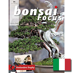 Bonsai-Focus (italiano)