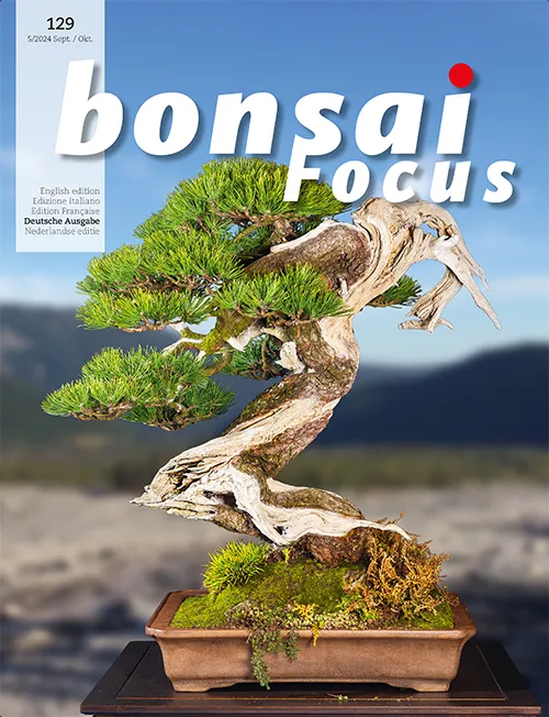 Bonsai-Focus 129 - Sept./Okt. 2024