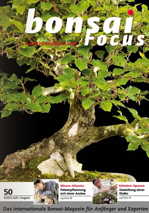 Bonsai-Focus 100 Nov/Dez 2019