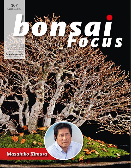 Bonsai-Focus 107 Jan/Feb 2021