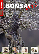 BONSAI ART 92 November/Dezember 2008