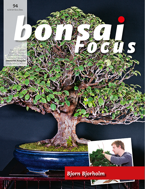 Bonsai-Focus 100 Nov/Dez 2019