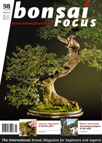 Bonsai-Focus 100 Nov/Dez 2019