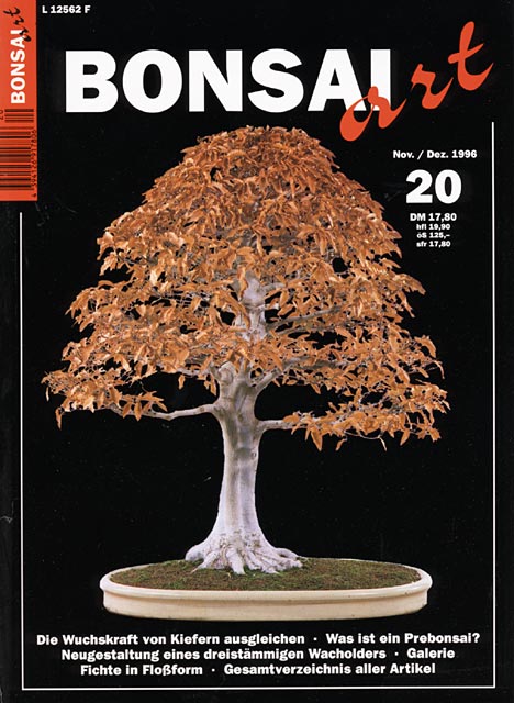 BONSAI ART 20 Nov.Dez. 1996