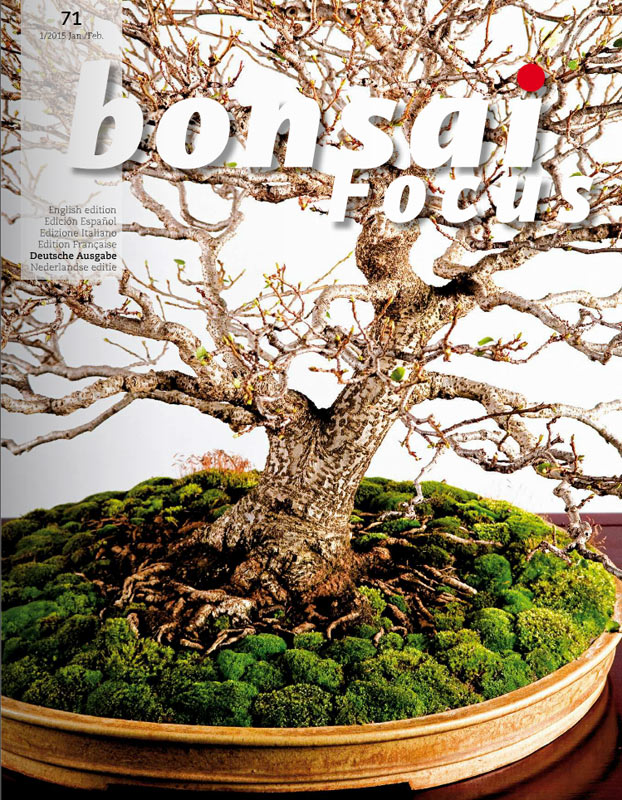 Bonsai-Focus 100 Nov/Dez 2019