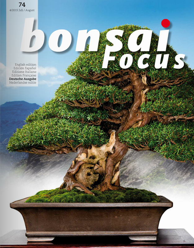 Bonsai-Focus 100 Nov/Dez 2019