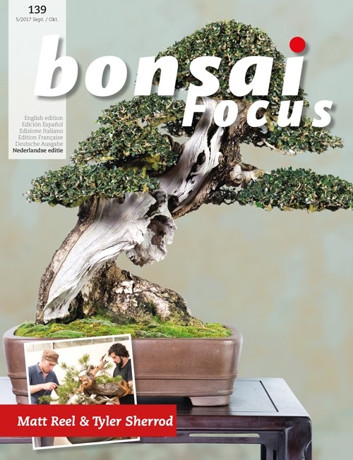 Bonsai-Focus 139 September/Oktober 2017