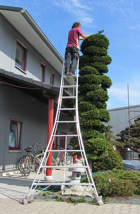Leiter (Japan) - 360 cm