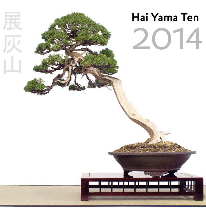 Das offizielle Buch zur Hai Yama Ten 2014: Alle Bäume der Ausstellung werden hier ebenso dokumentiert wie die Sonderausstellung chinesischer Keramik.


92 S., farbig, 21 x 21 cm, Hardcover. 
