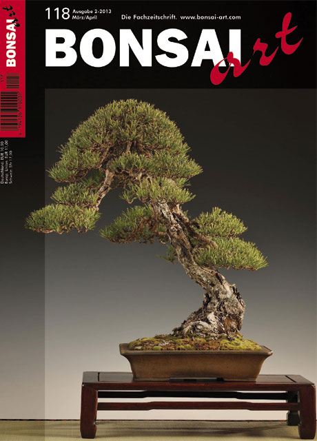 BONSAI ART 118 M