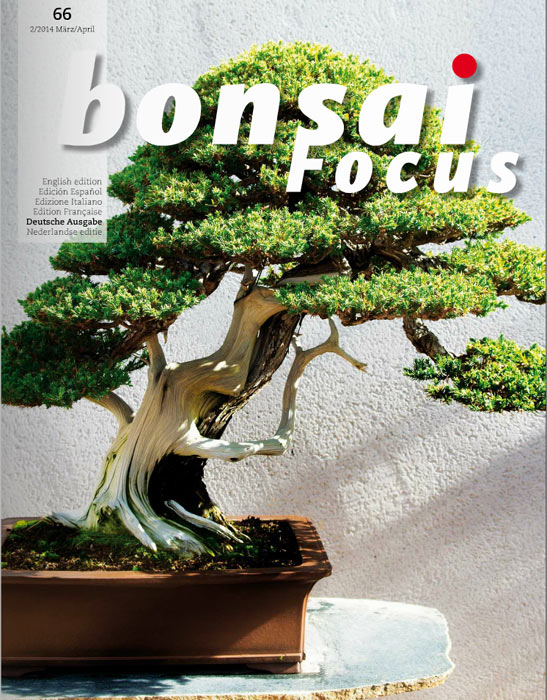 Bonsai-Focus 100 Nov/Dez 2019