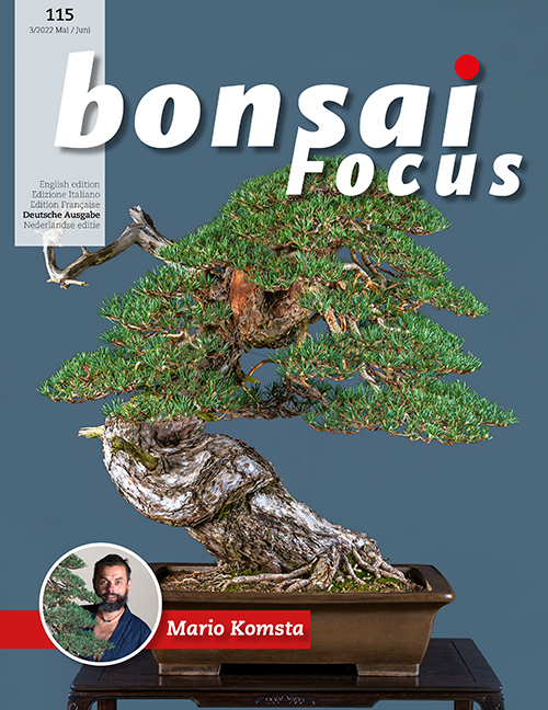 Bonsai-Focus 115 Mai / Juni 2022