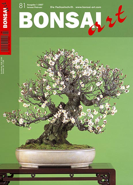 BONSAI ART 81 Januar/Februar 2007