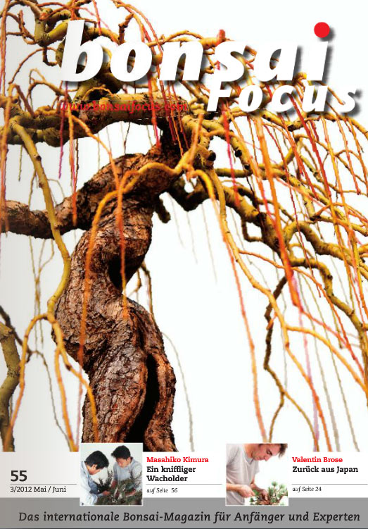 Bonsai-Focus 100 Nov/Dez 2019