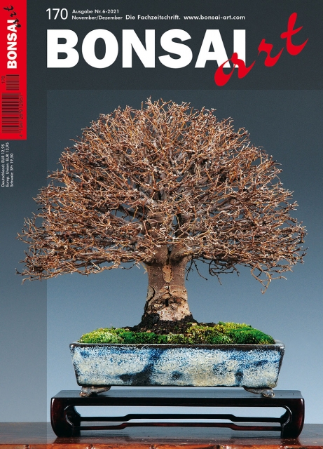 BONSAI ART 170 –  November/ Dezember 2021