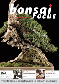 Bonsai-Focus 100 Nov/Dez 2019