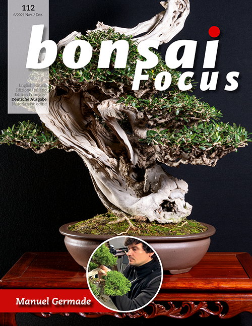 Bonsai-Focus 112 November/Dezember 2021