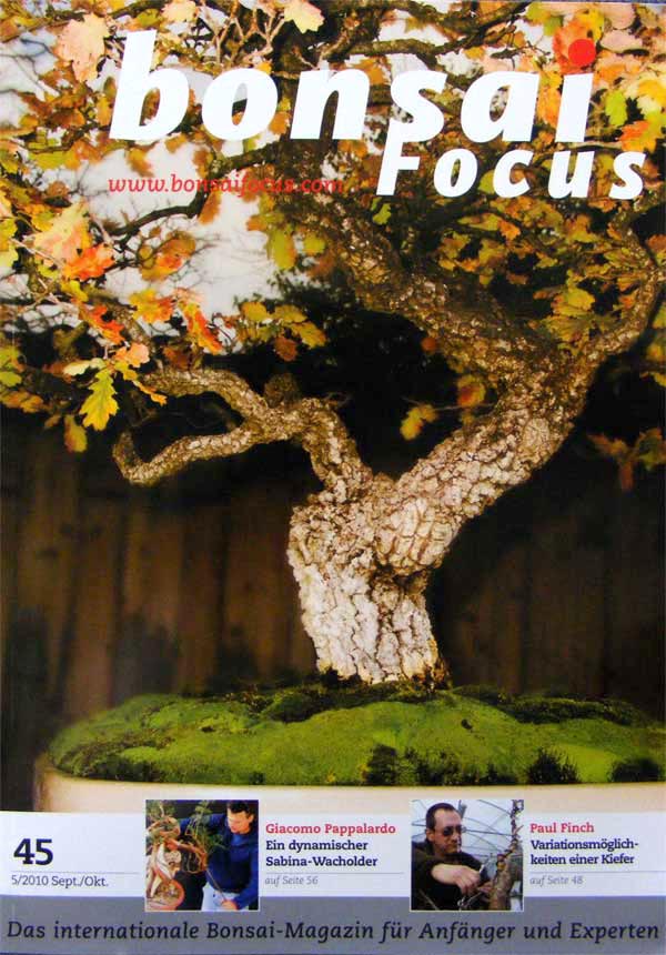 Bonsai-Focus 100 Nov/Dez 2019