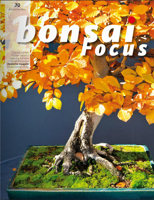 Bonsai-Focus 100 Nov/Dez 2019