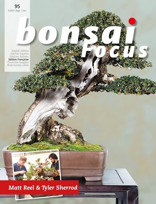 Bonsai-Focus 95 Septembre/Octobre 2017