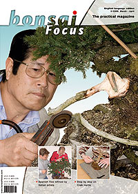 Bonsai-Focus 100 Nov/Dez 2019