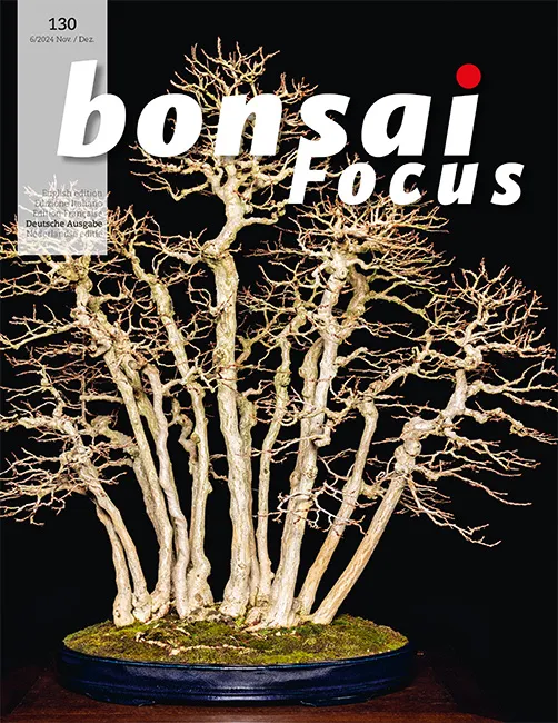 Bonsai-Focus 2024 (130), Nov/Dez.