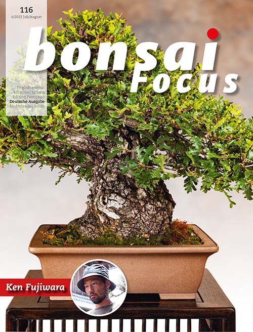 Bonsai-Focus 116 Juli / August 2022