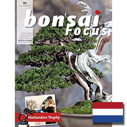 Bonsai-Focus (nederlands)