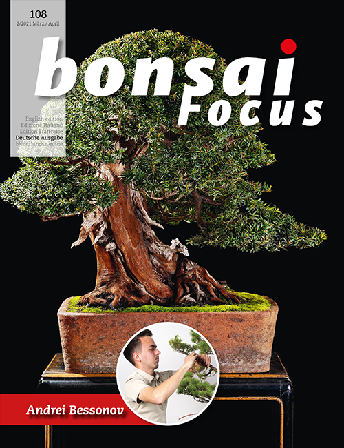 Bonsai-Focus 108 März/Apr. 2021