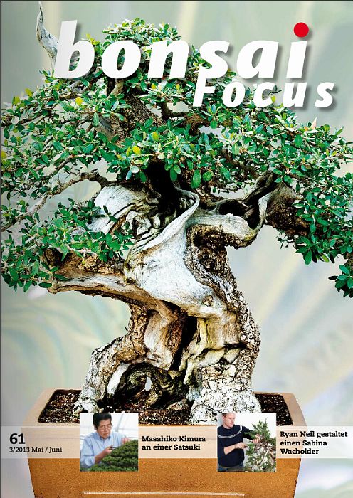 Bonsai-Focus 100 Nov/Dez 2019