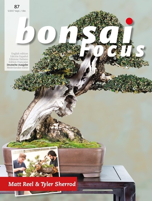 Bonsai-Focus 100 Nov/Dez 2019