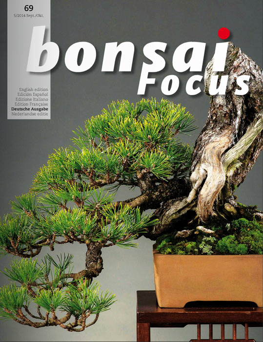 Bonsai-Focus 100 Nov/Dez 2019