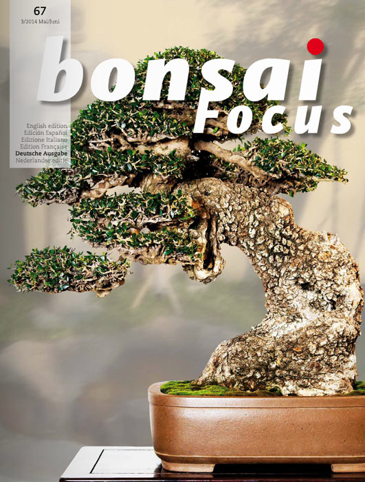 Bonsai-Focus 100 Nov/Dez 2019